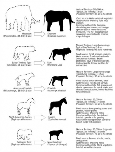 Pleistocene rewilding: Establishing an exurban rewilding experiment to assess the impact of reintroducing large vertebrates to enhance the structure, resilience, and diversity of ecosystems. Based on proposals from the Rewilding Institute (http://rewilding.org/rewildit/). 